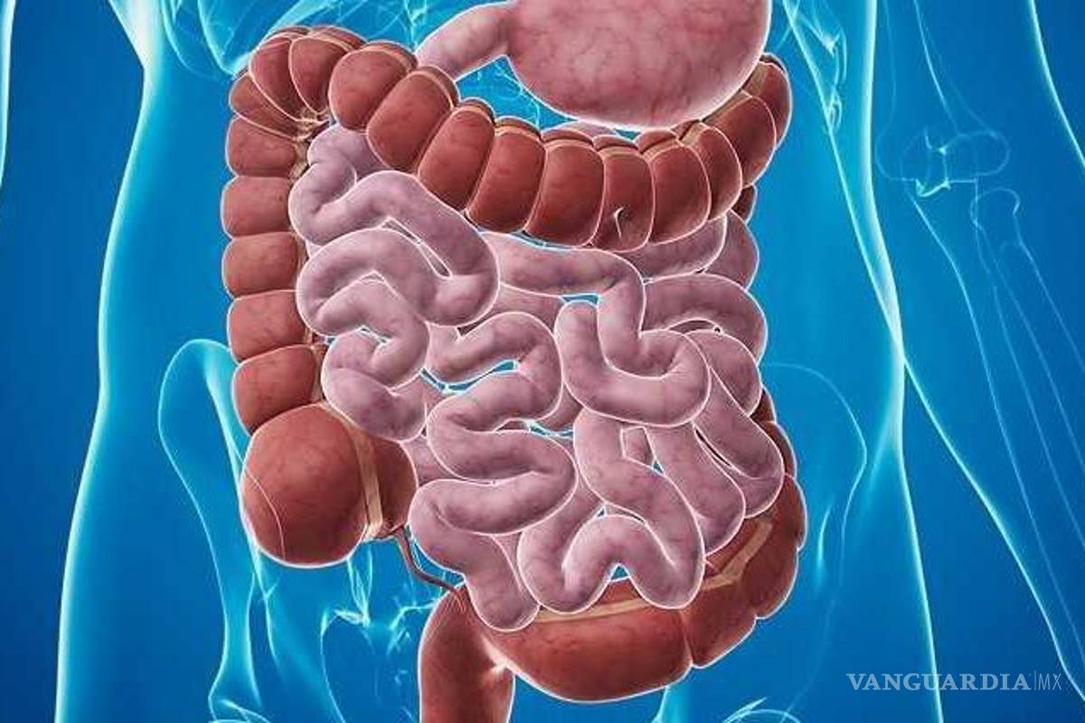 Superdonantes de excrementos ayudan a mejorar la salud de otras personas