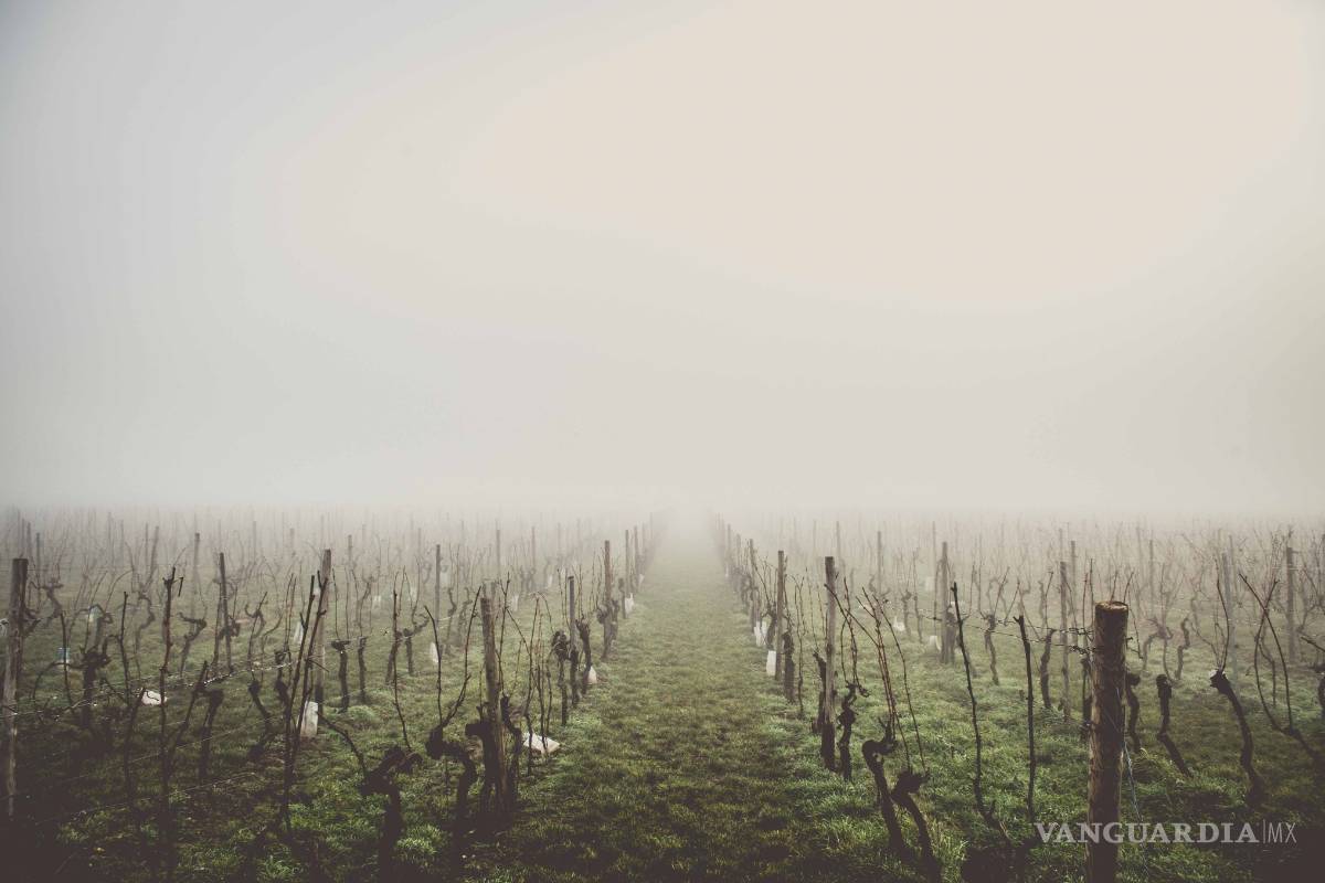 Terruños de México