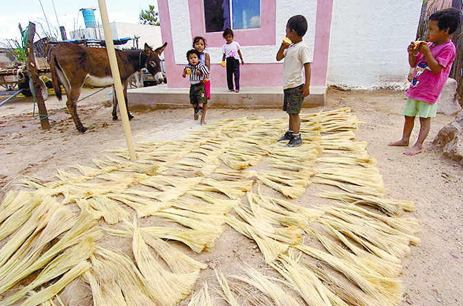 Conaza entrega apoyos por 4.6 mdp a ejidatarios de la Región Sureste de Coahuila