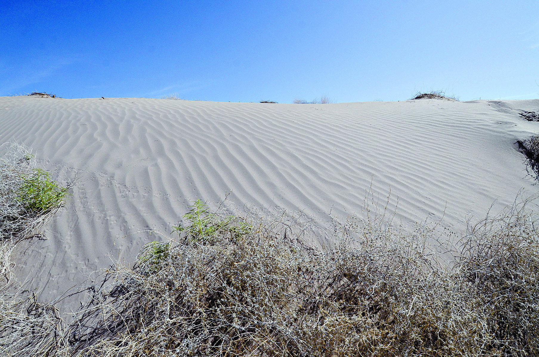 Dunas de Bilbao, víctima del ‘turismo salvaje’