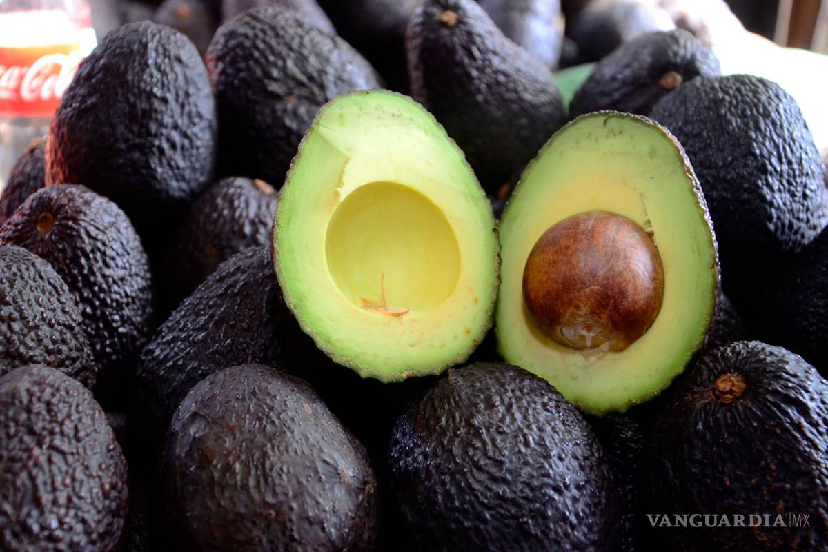 El aguacate sigue ganando terreno, exportación hacia Estados Unidos crecerá 15% en 2018