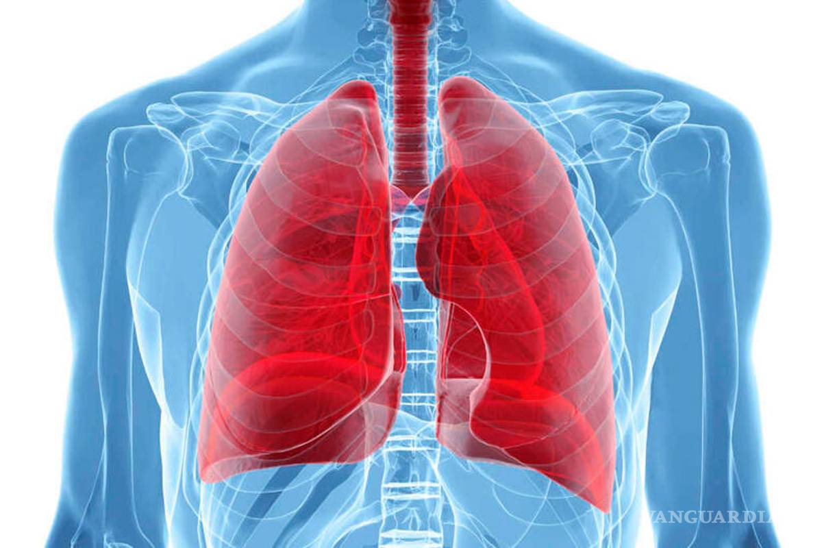 $!Microplásticos podrían alterar la función celular de nuestros pulmones
