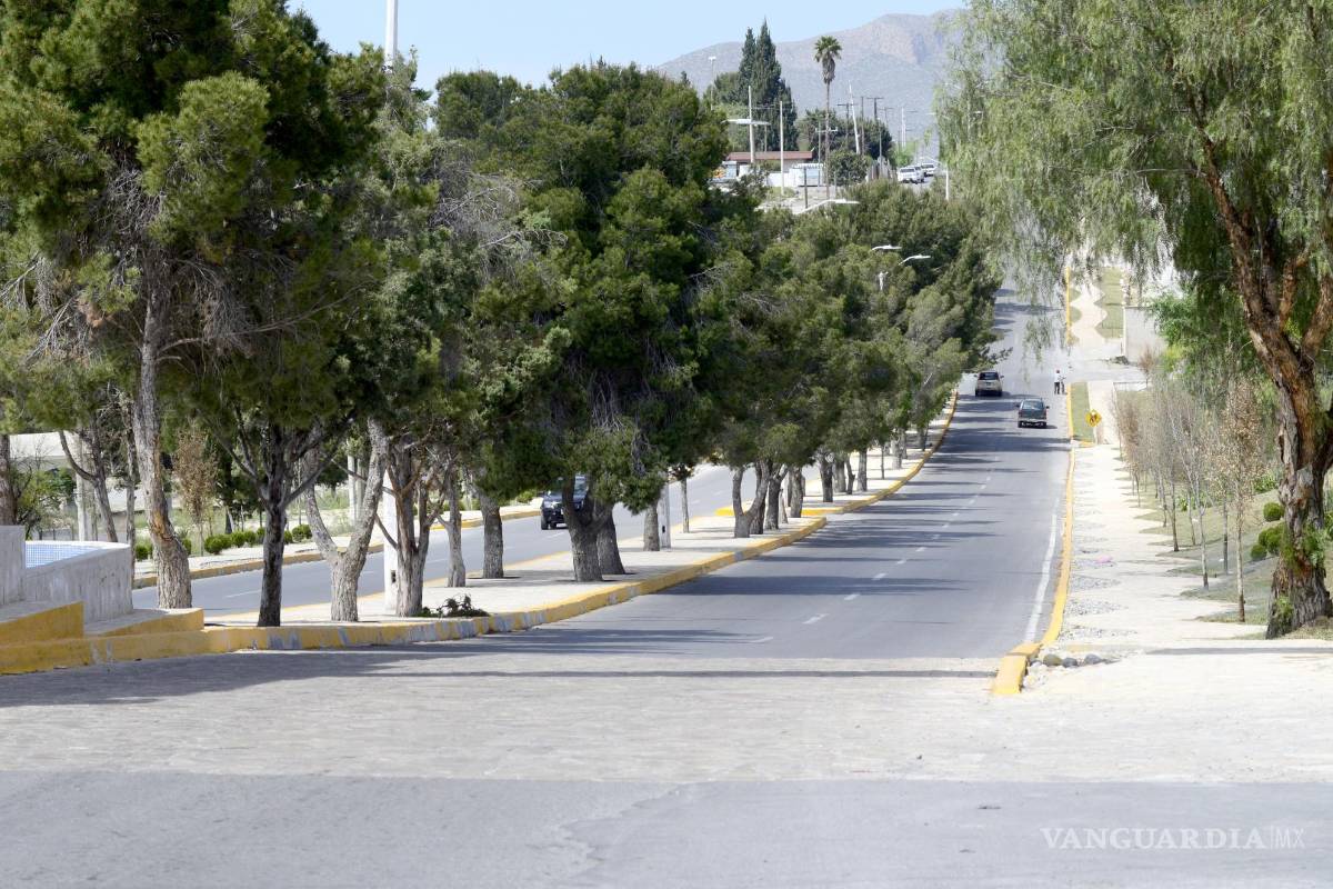 Cobrarán impuesto por vender productos a bordo de vehículos en Arteaga