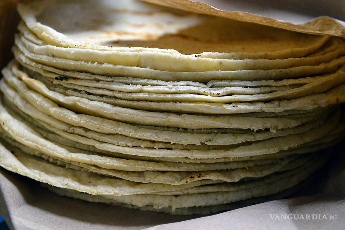 Propuesta revelaría si la tortilla que consumes es 100% natural