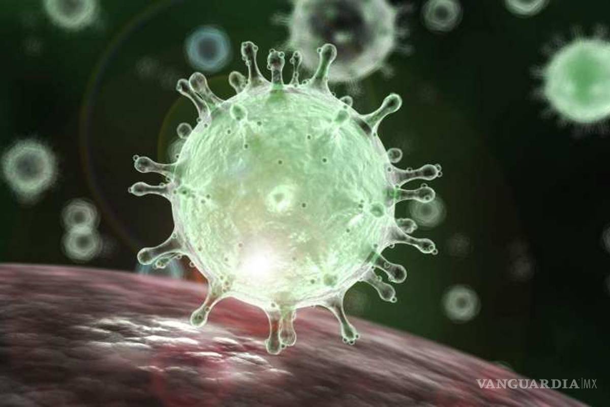 Paciente contagiada con coronavirus fue liberada por error cerca de frontera con México