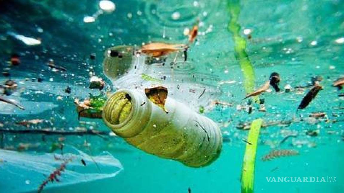 Por actividad humana, 80% de contaminación en océanos