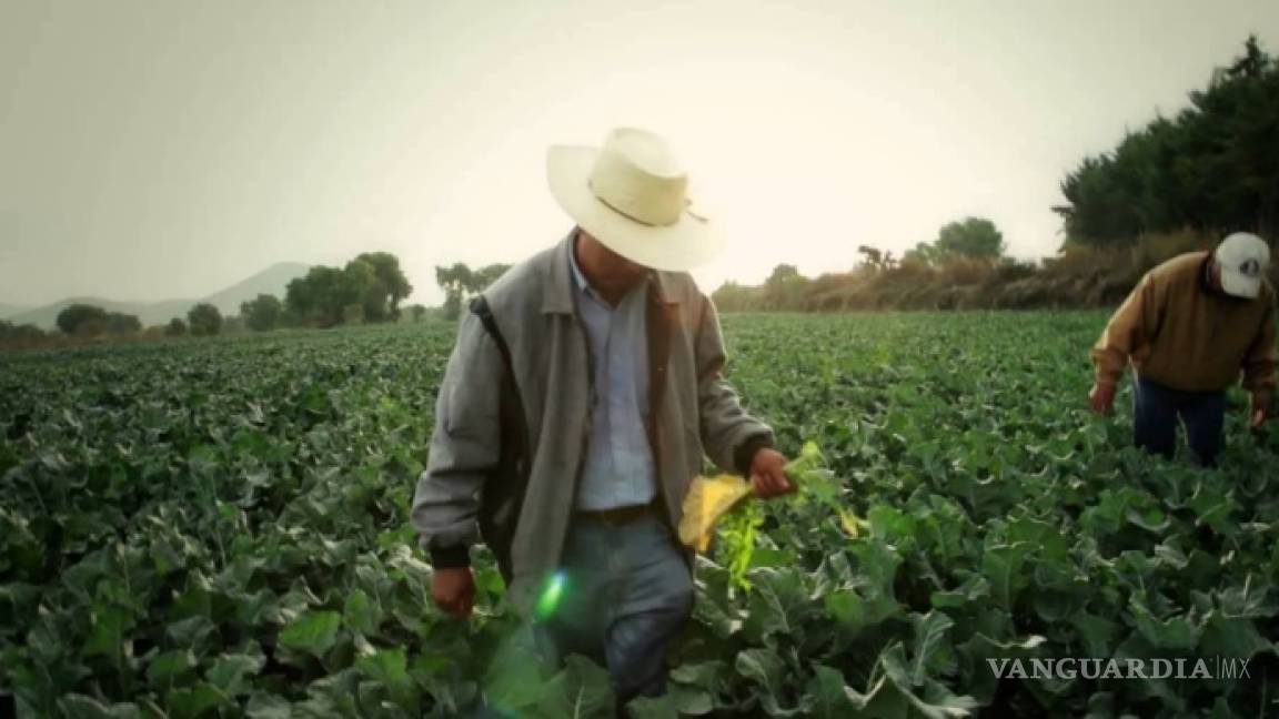 Perfilan robusto sistema financiero rural orientado a potenciar proyectos productivos en el campo mexicano