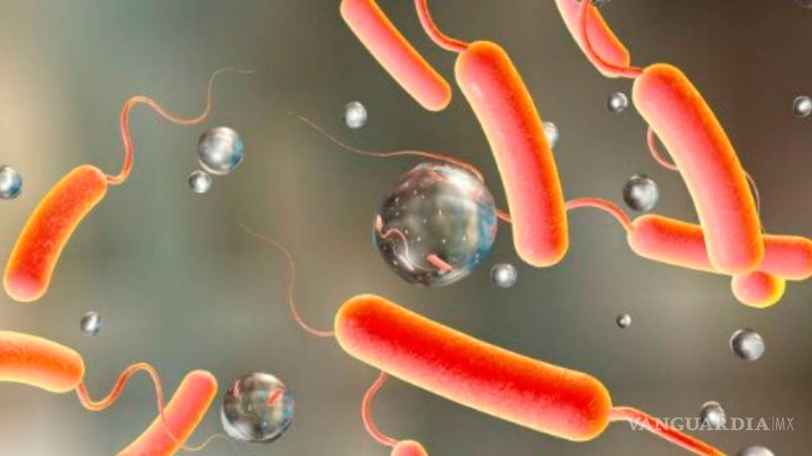 $!Detectan bacteria mortal en Tabasco; causa la muerte de tres personas