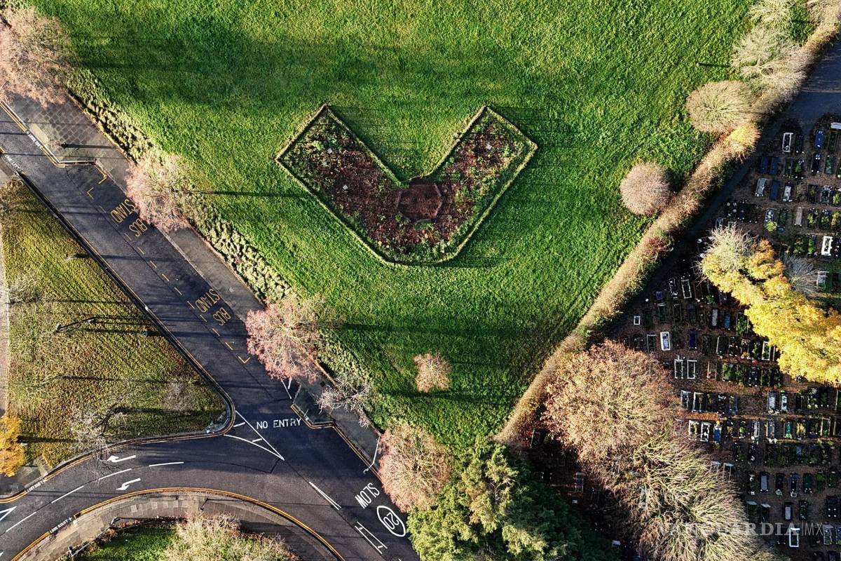 ‘Tiny Forests’, bosques urbanos que buscan ser una solución verde para oxigenar las grandes ciudades