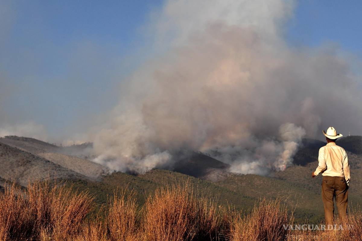Es Coahuila el estado con más daños por incendios forestales en los últimos ocho años