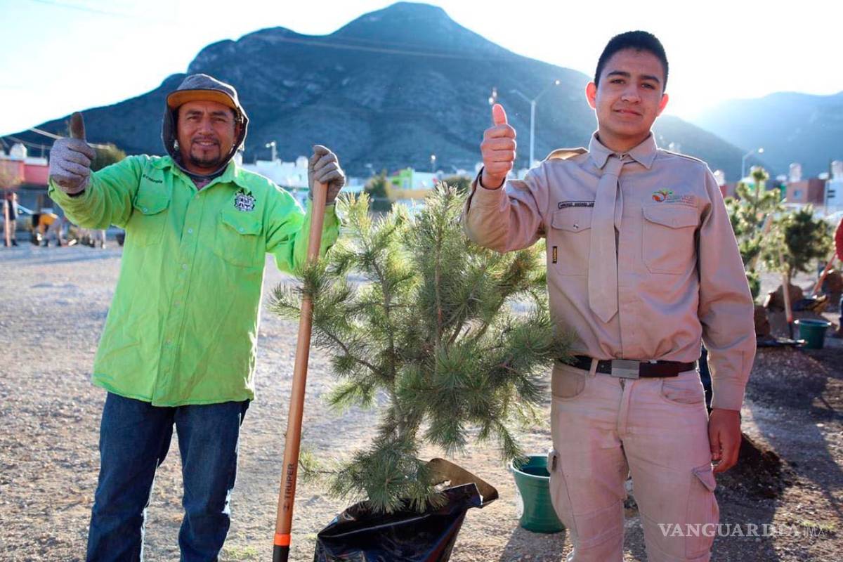 En marcha proyecto de megareforestación en Saltillo