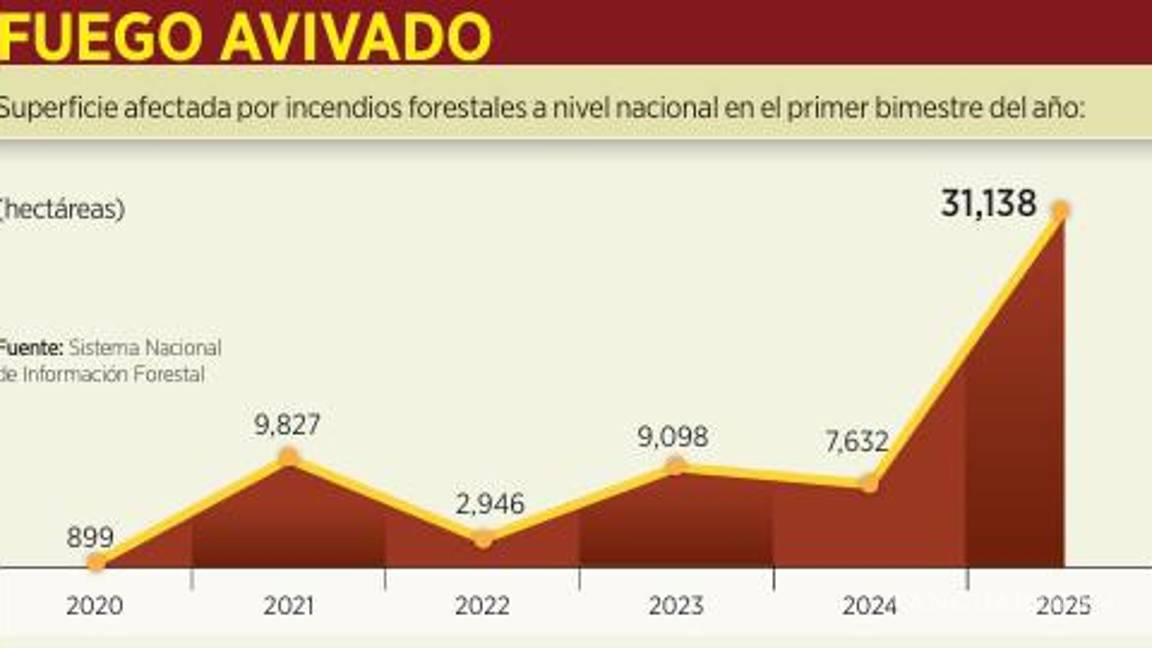 $!Cuadriplican daño incendios forestales en primer bimestre de 2025