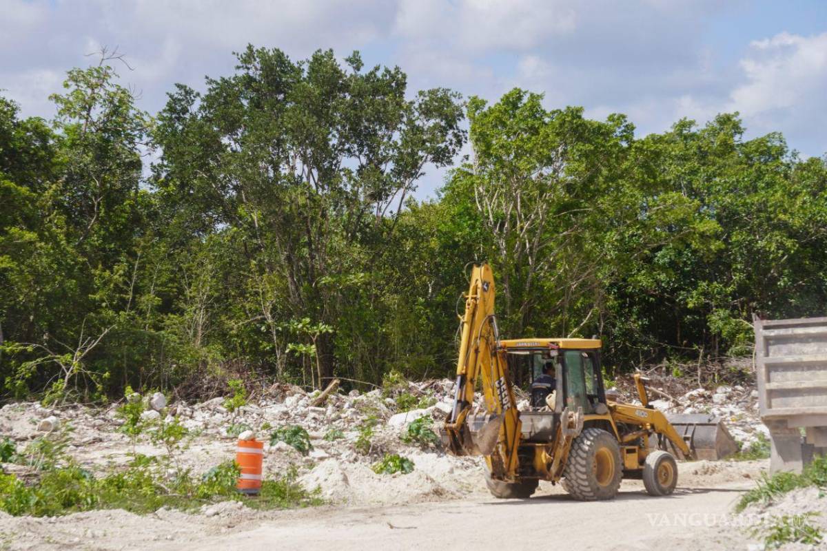Revocan 3 suspensiones definitivas contra obras del Tren Maya