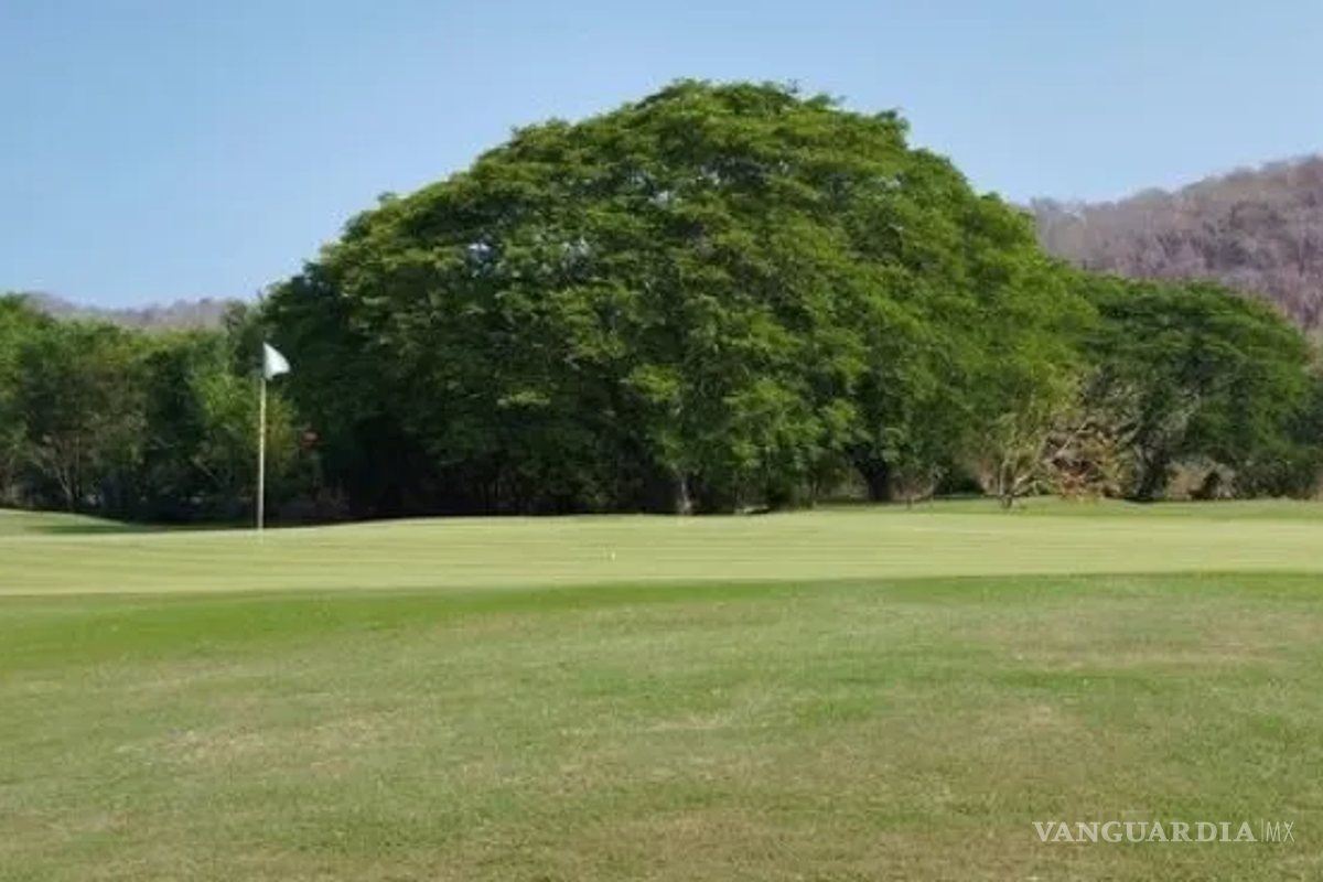 $!Acusan que se extraía sin permiso 350 mil litros de agua diariamente de los pozos para regar el césped de los campos de golf