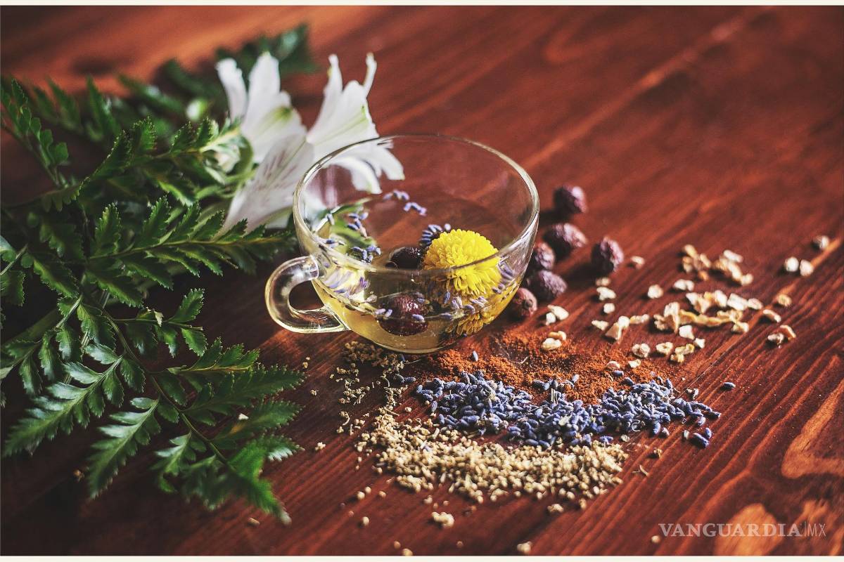 ¿Vives en Viesca? Aprovecha hoy curso de deshidratación de frutas y plantas medicinales gratuito en el CIJE