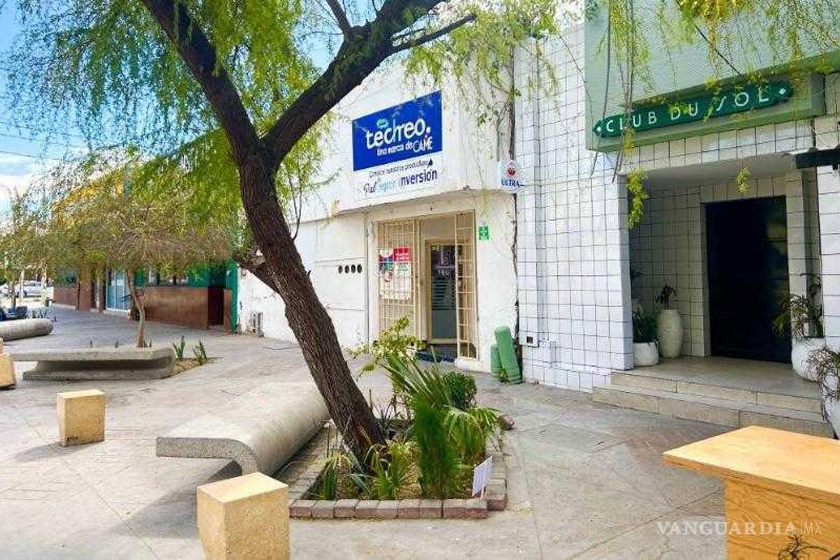 Establecimientos comerciales y ciudadanos participan en el cuidado de áreas verdes de Torreón