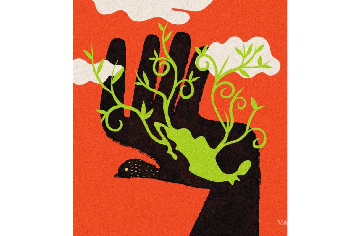 Medio ambiente: El plan de la Conanp para proteger a la naturaleza