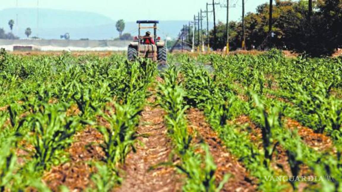 Agroproductores analizan asumir costo de aranceles de Trump