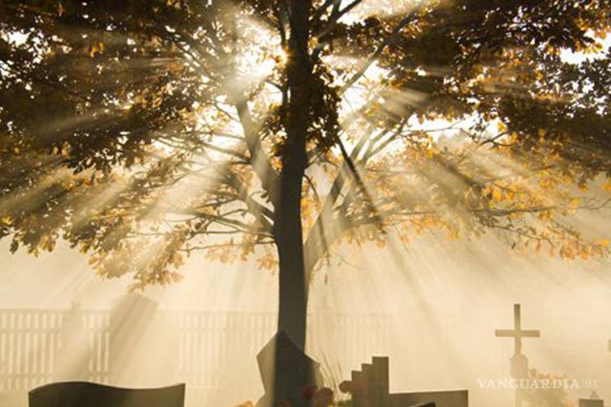 5 cosas para hacer antes de morir