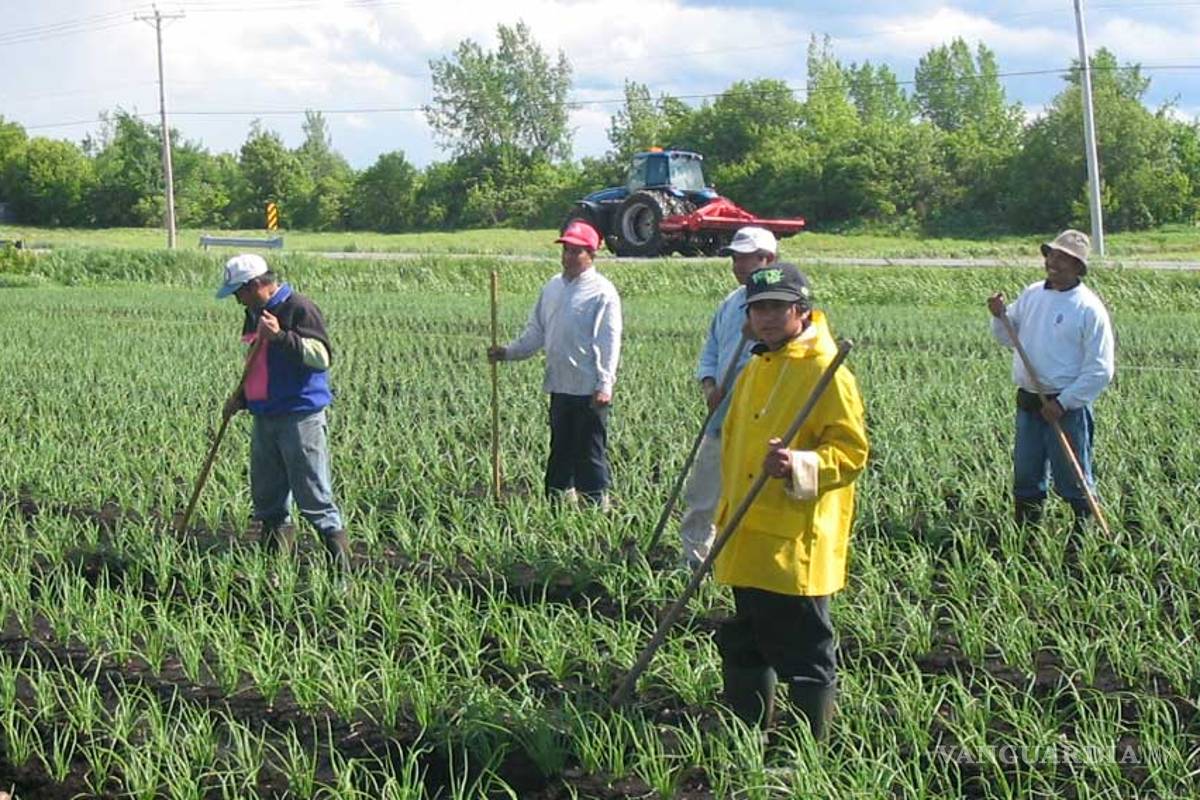 México envía a 21 mil trabajadores agrícolas a Canadá