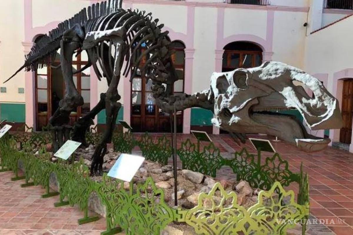 Llega el ‘sabinosaurio’ coahuilense al museo de Antropología de la CDMX