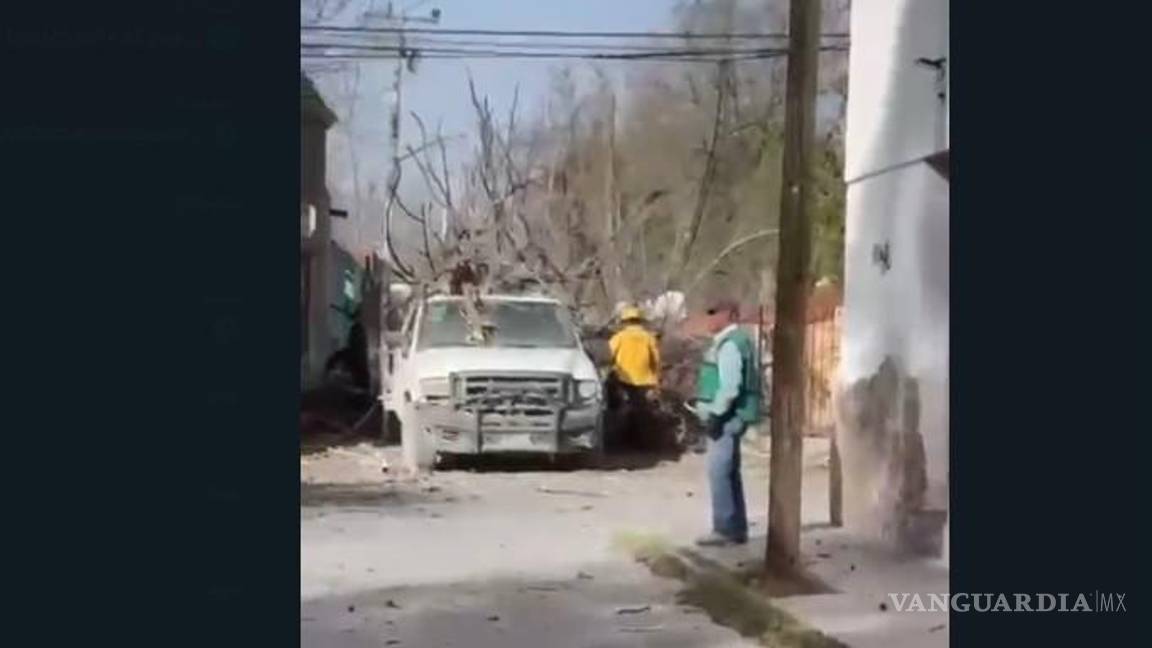 Cae árbol sobre trabajadores del municipio de Ocampo; uno termina grave