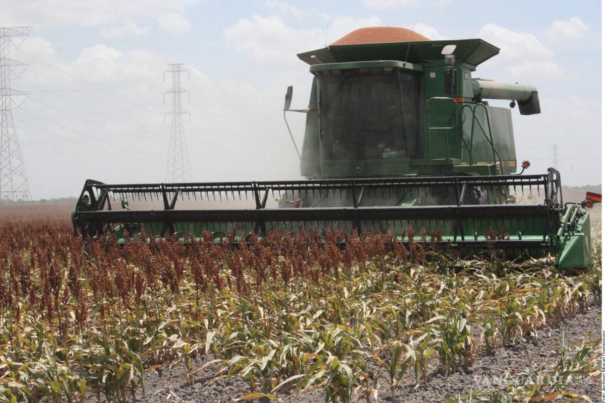 Asegura CNA que la reforma para los trabajadores del campo es confusa y genera incertidumbre jurídica