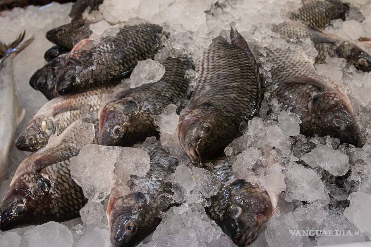 Recomienda Profeco: ¿cuáles son los pescados y mariscos más baratos para comprar en Cuaresma?