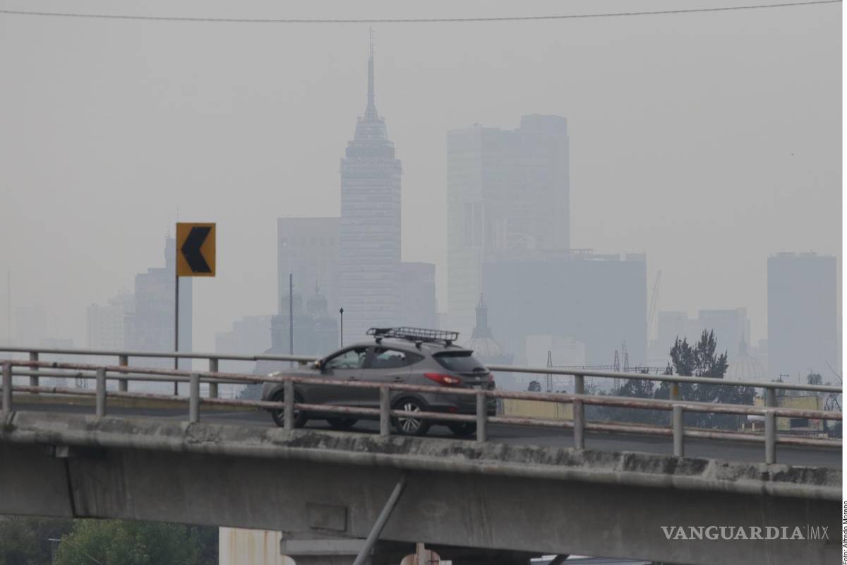 Advierten que recursos para enfrentar cambio climático por parte del Gobierno de AMLO se estancarán en 2024