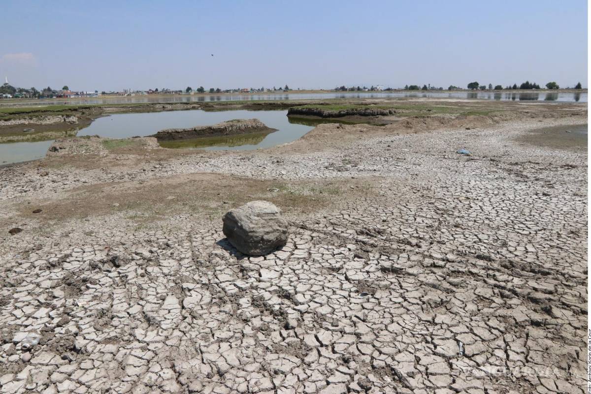 Alerta informe mundial por sequía en México