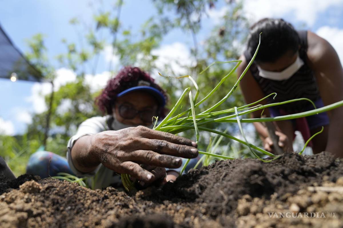 Desde hoy, el mundo está en números rojos en cuanto a los recursos naturales