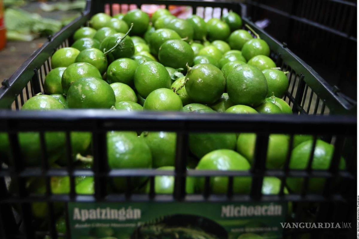 Denuncian empresarios limoneros que crimen organizado los obliga a pagar cuotas