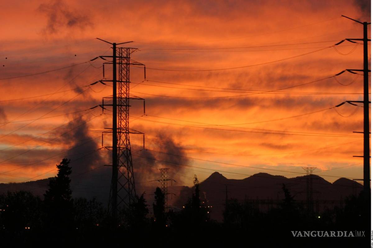 Perdieron 164 mmdp subsidiarias de CFE