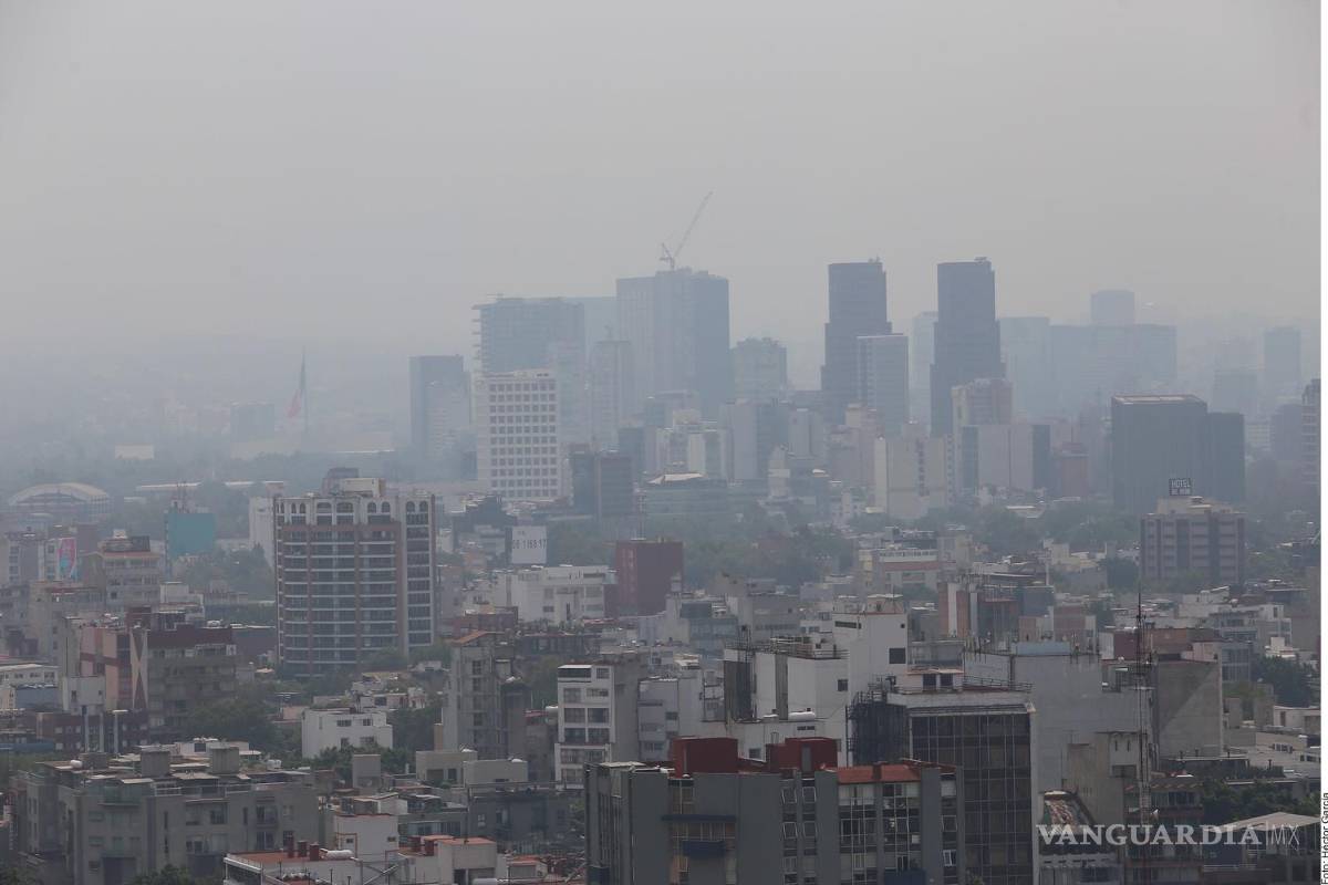 Incendios forestales influyen en la contaminación por ozono del Valle de México