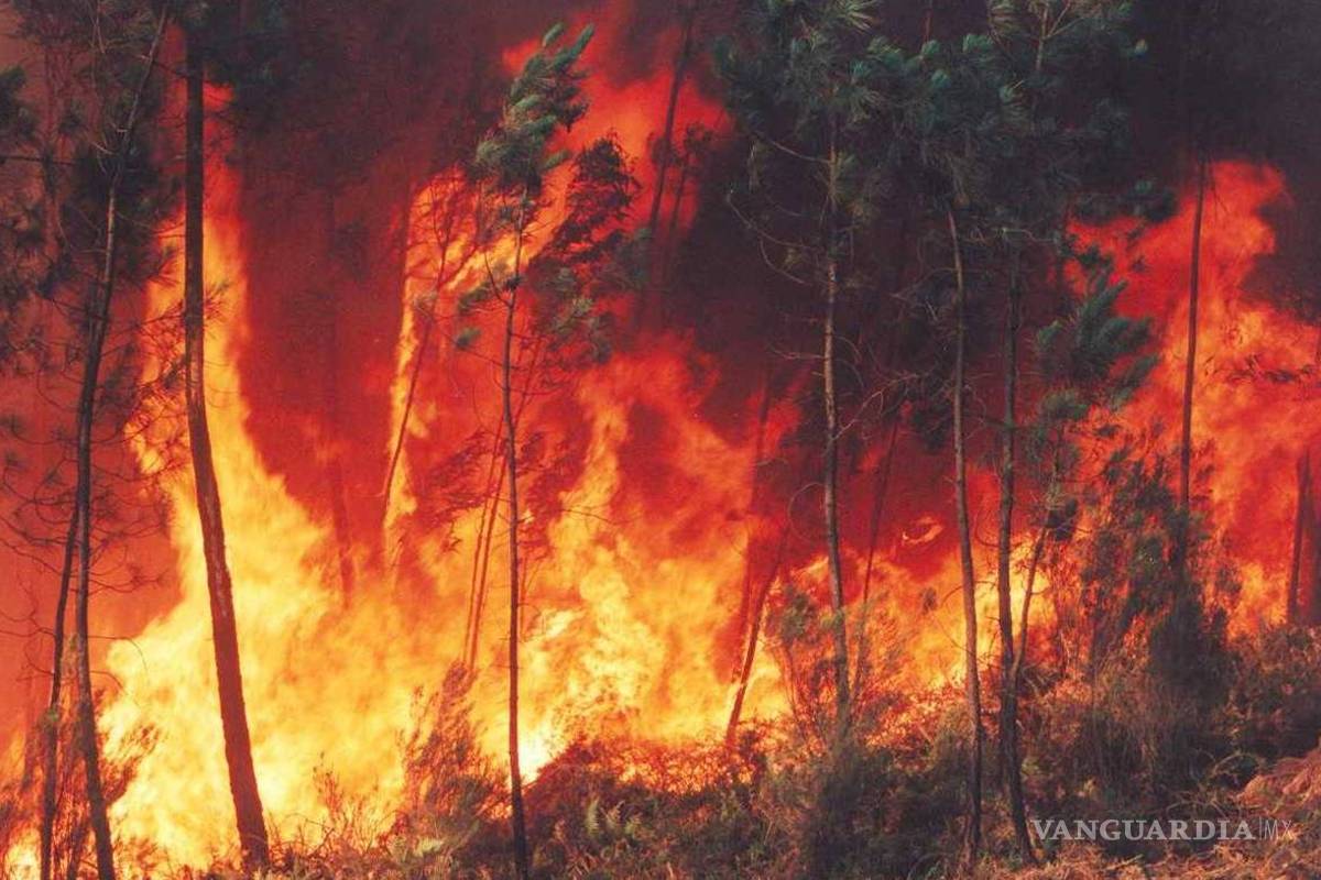 Analizará Gobierno de Coahuila problemática de incendios forestales