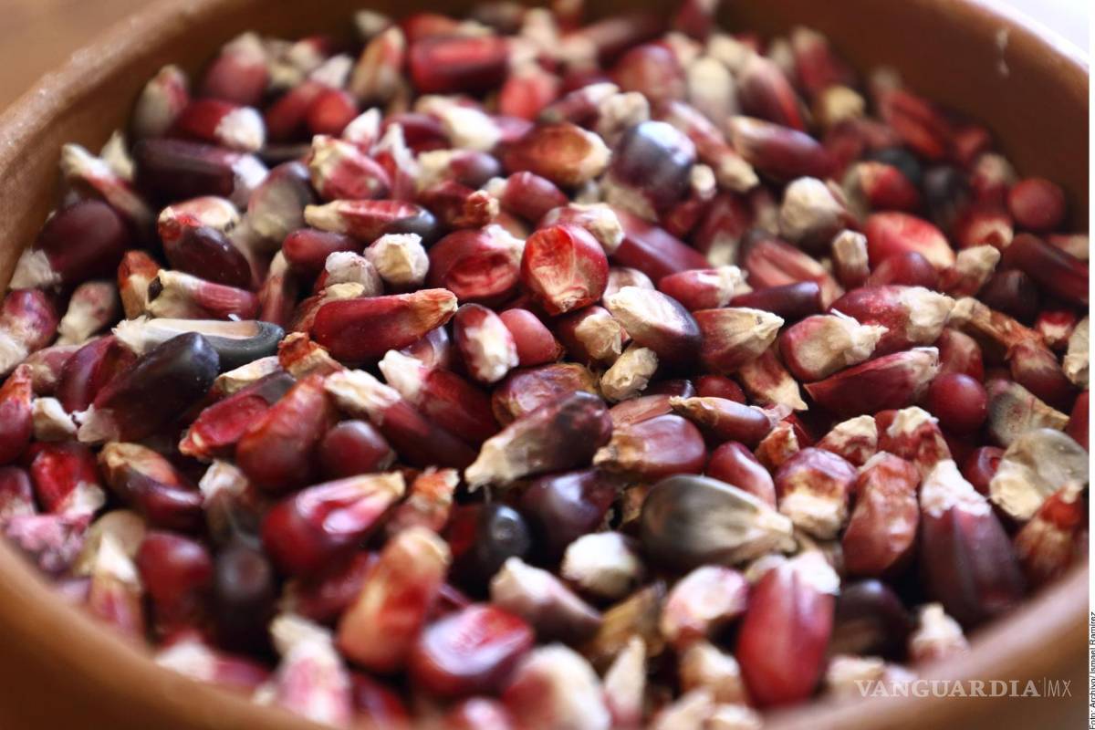 Productores de maíz se enfrentarán a la prohibición del glifosato