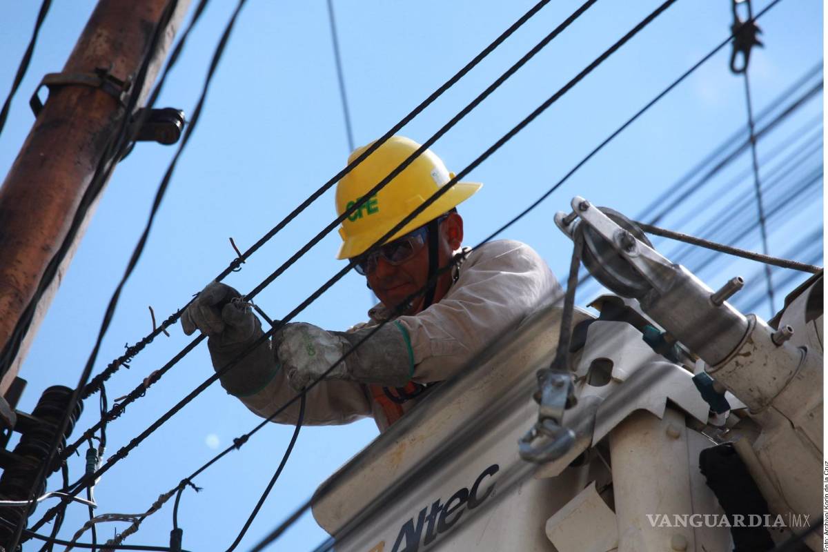 Frenan orden del INAI para transparentar detalles de las fallas eléctricas