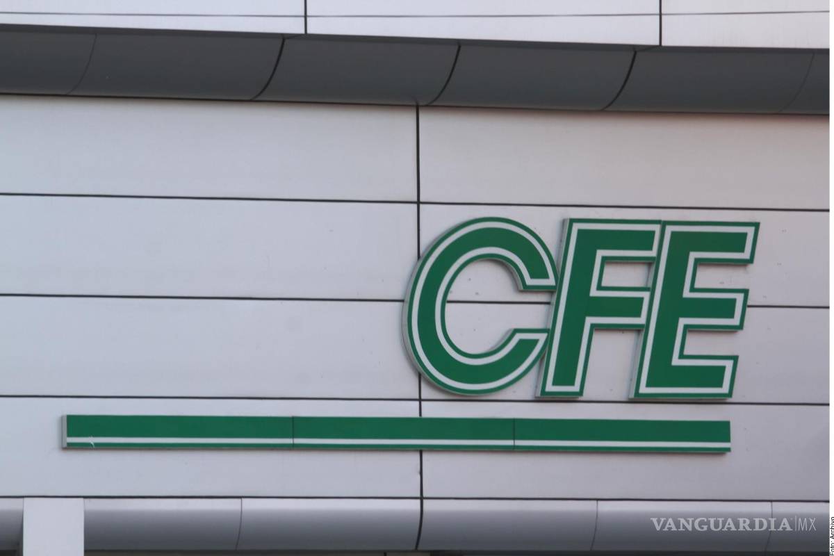 Acusan opacidad en CFE y Pemex