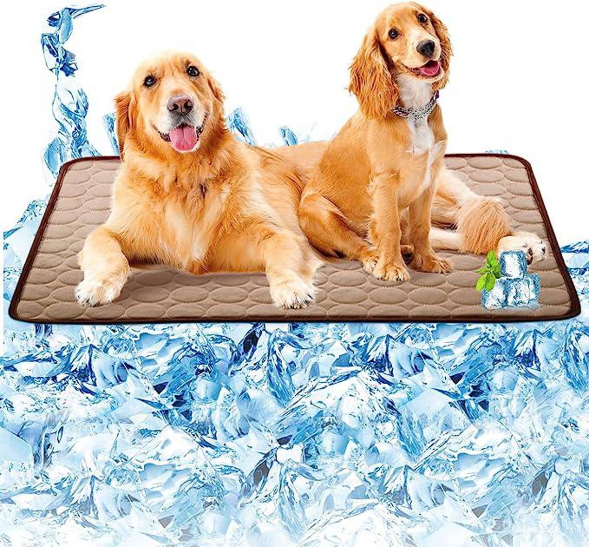 $!Tapete refrescante para perros.