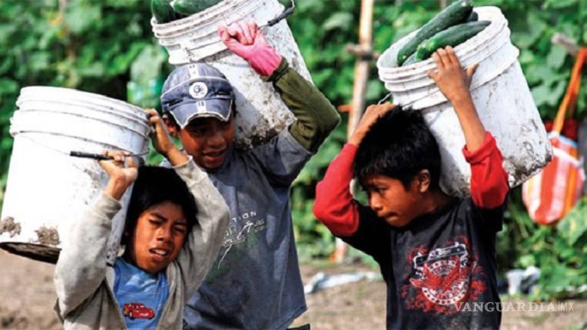 Cerca de 5 millones de niños ya enfrentan el mundo laboral en México