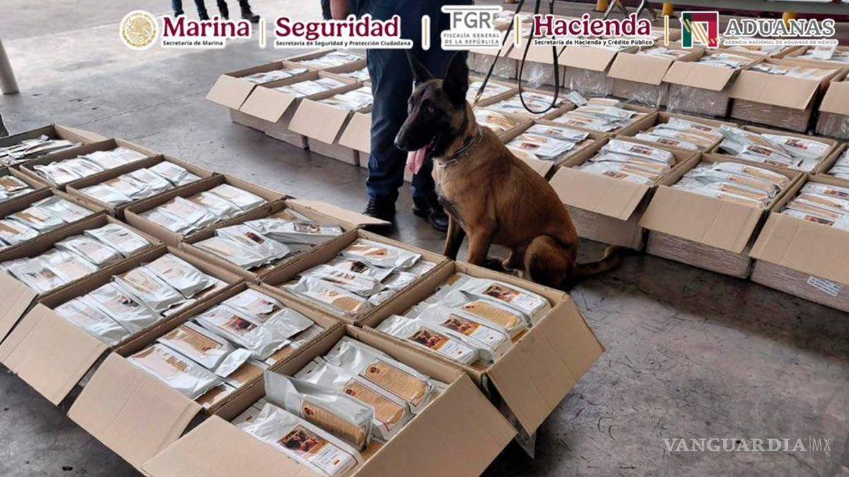 ‘Chocolate’, el binomio canino frena otro envío: Hallan una tonelada de cocaína en el AICM