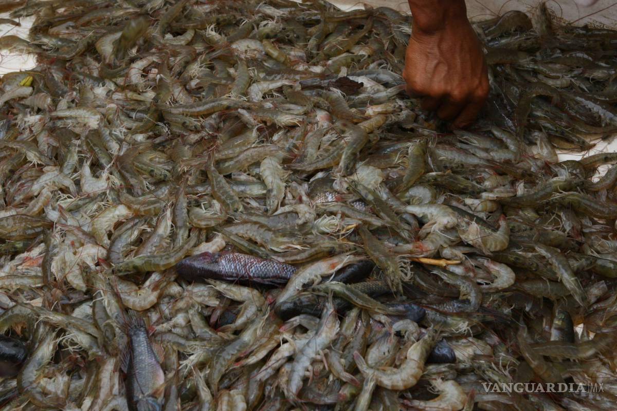 La otra crisis que viene para Sinaloa