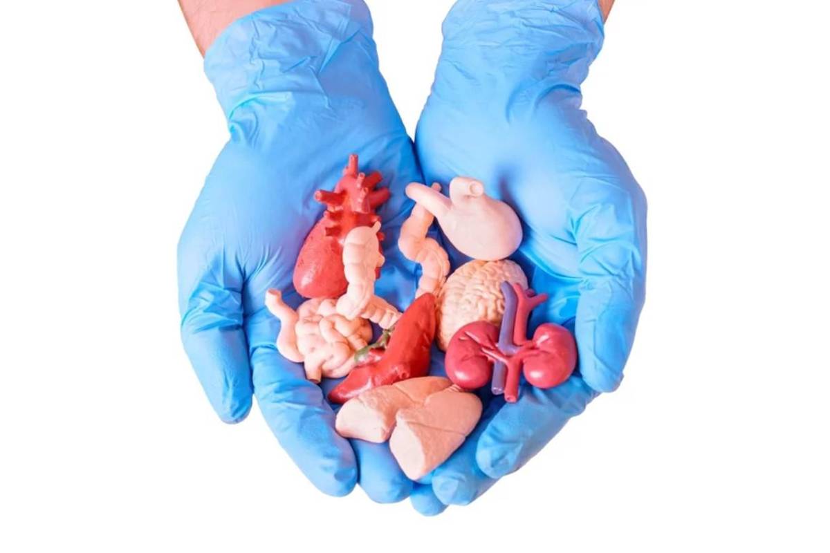 Aumenta 30 por ciento la donación de órganos en México