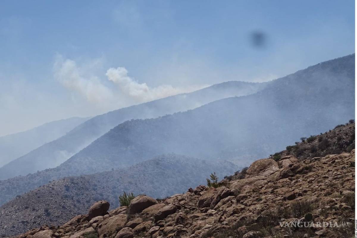 Gobierno de AMLO recorta más de mil 400 mdp a comisión encargada de Áreas Naturales Protegidas