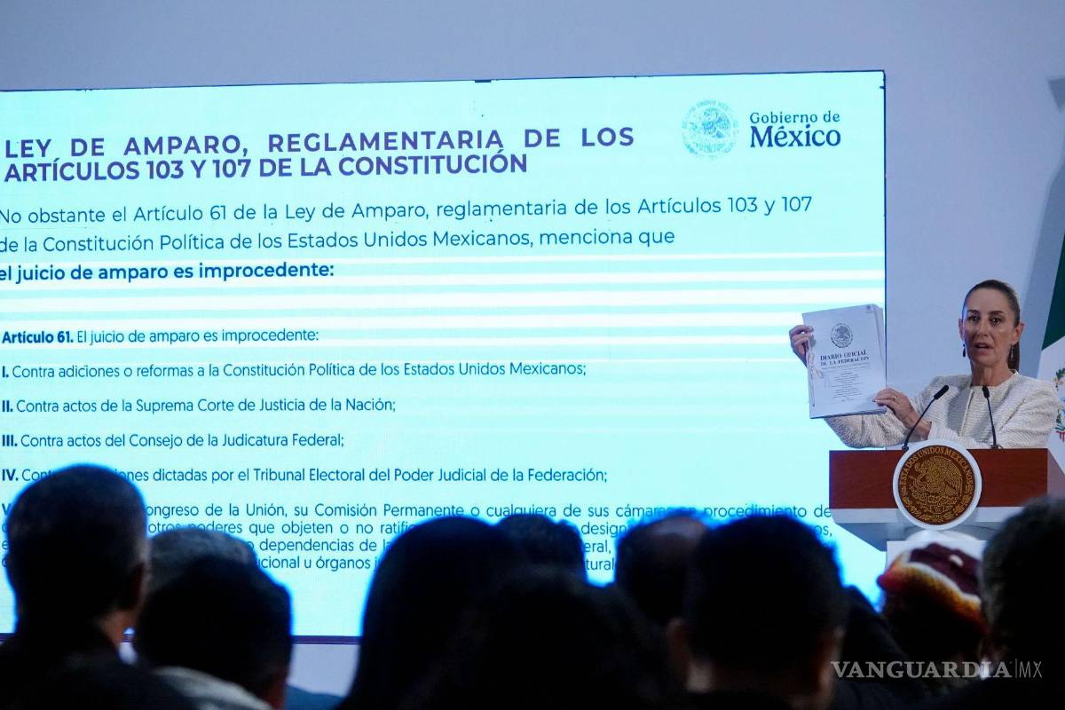 El juicio de amparo: perpetuo debate entre la garantía y el abuso