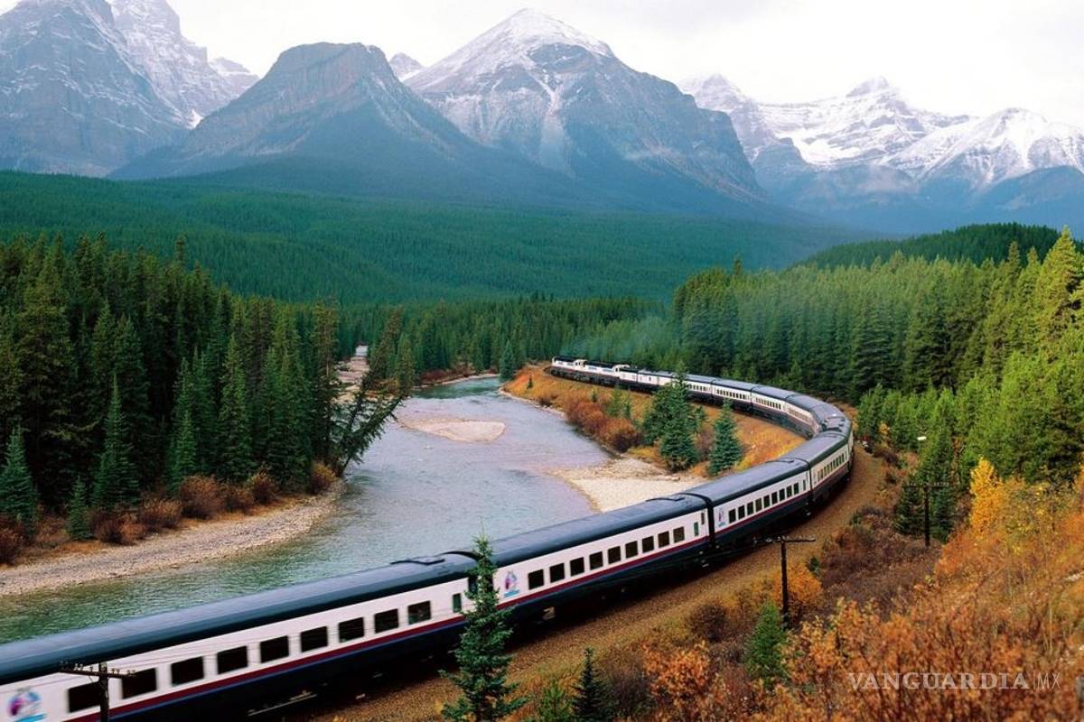 Castores provocan avería en el Transiberiano en Rusia