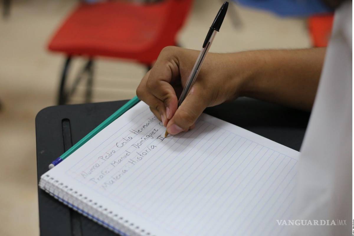 Disminuye a un 16% la cantidad de jóvenes que no trabajan ni estudian