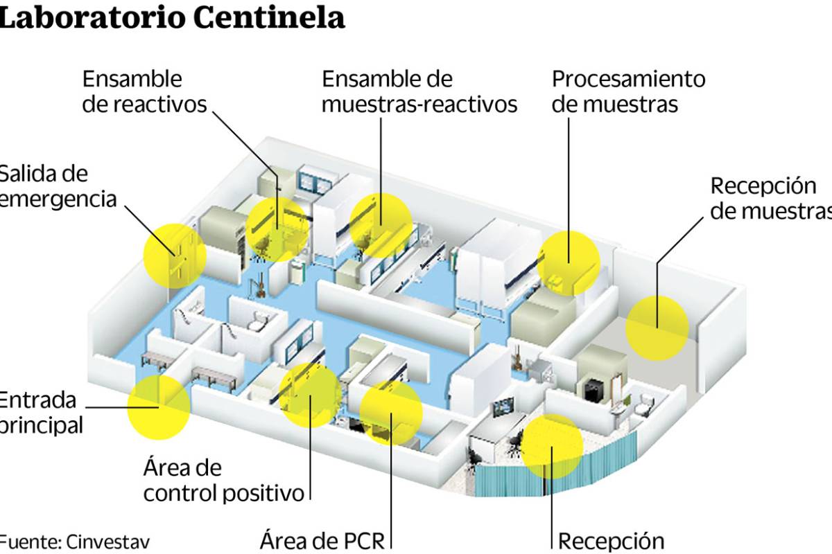Así se estudian en este laboratorio CDMX al COVID-19