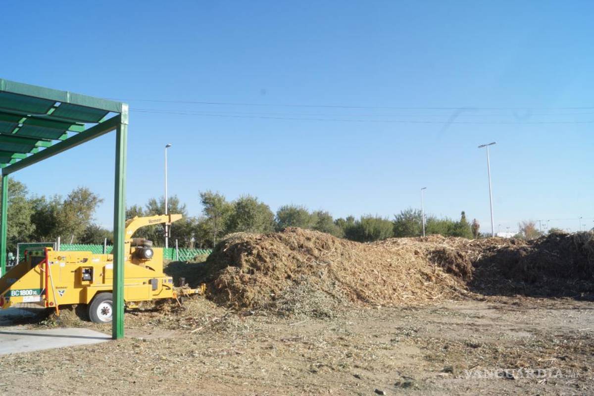 $!El servicio no recibe residuos de empresas ni negocios.