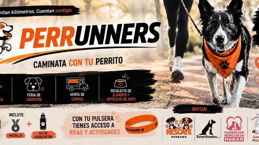 La jornada incluirá una feria de adopción, venta de comida y recolección de alimento y artículos de aseo para mascotas.